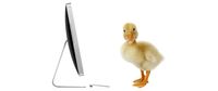 Baby duck syndrome: Why users hate change and what you can do about it