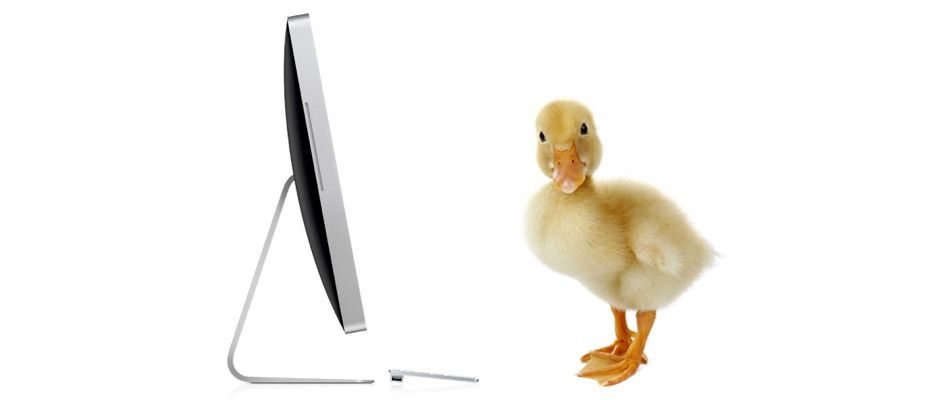 Baby duck syndrome: Why users hate change and what you can do about it